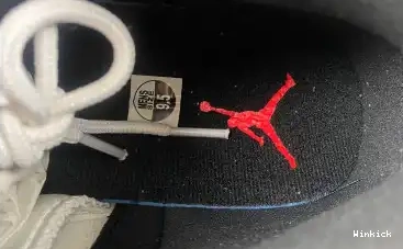 12 AIR “TWIST” JORDAN CT8013-106 0630